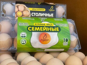 Молочные продукты и яйца: "Аксууйское" " племенное хозяйство " мы предоставляем вам оптовые