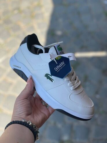 patike lacoste: Trainers