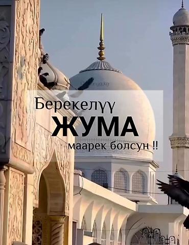 один хоз: Сдается Квартира В городе Шопоков Ул Дзержинского Гостиничного Типа — 1