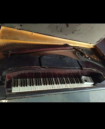 fort salon: Antik kuyruklu piano – Wills. Pethmüller & Sohn, Göttingen - — 10