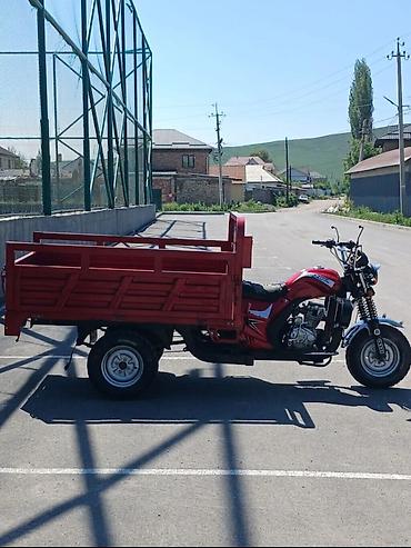 кытай мото: Кумурска мотороллер Бензин, 150 - 199 км, 1000 - 1499 кг, Колдонулган — 1