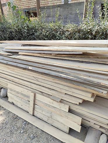 Другие виды семян и саженцев: ПАВЛОВНИЯ КОЧОТТОРУ САТЫЛАТ СОРТТОРУ: -ФТЭ - ШАНГТОНГ - ПАОТОНГ Z 07 — 10