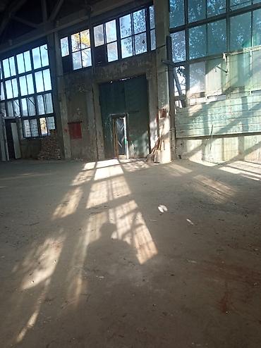 кунтуу дома: Сдаю Ангар, помещение 430кв/м. Вода, туалет, душ, слив, трёх фазска — 1