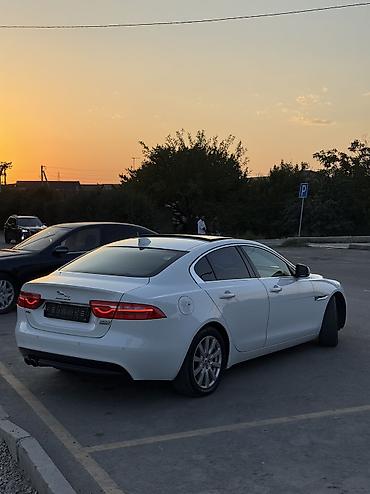 чехлы бу: Jaguar XE: 2017 г., 2 л, Автомат, Дизель, Седан — 5