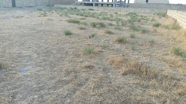 Torpaq sahələrinin satışı: 6 sot, Kənd təsərrüfatı, Mülkiyyətçi, Bələdiyyə — 7