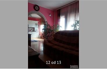 Kupujem kuću: Porodična kuća u Surduku sa uređenim dvorištem - Dvospratna zidana — 7