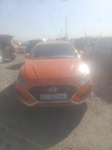 sonata 2003: Hyundai Sonata: 2019 г., Автомат, Бензин, Седан — 1