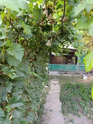 Продажа домов: Дом, 73 м², 5 комнат, Агентство недвижимости at lalafo.kg — 10 Продажа домов: Дом, 73 м², 5 комнат, Агентство недвижимости — 10