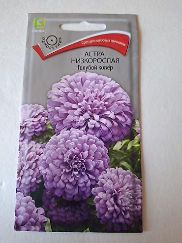 tut agaci calaq: Bağ toxumları dəsti – Astra nizkorosla və qərənfil (şabo pikoti) — 2