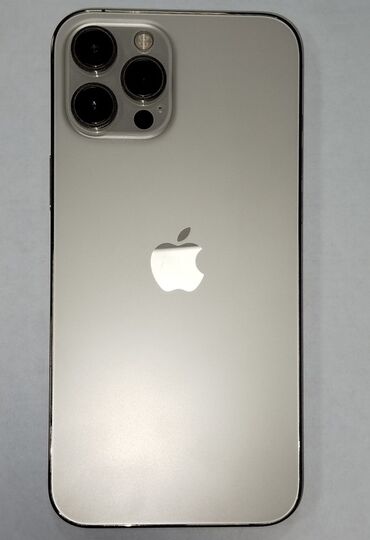 IPhone 12 Pro Max, Серебристый, Face ID