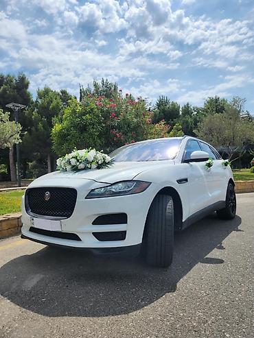 pol yonan usta: #Jaguar#Fpace#Toy #Nişan və digər #tədbirlər üçün #sifariş edə — 10