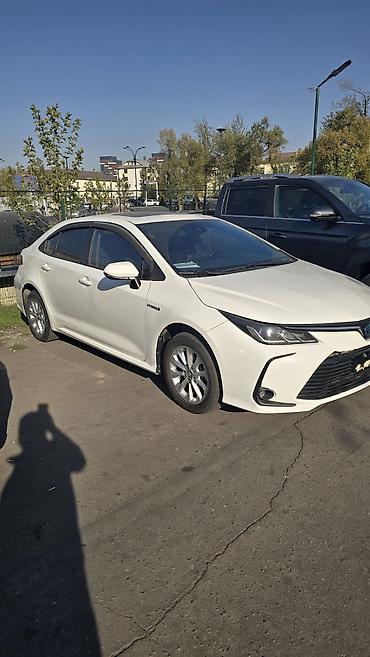 honda corolla: Toyota Corolla: 2020 г., 1.8 л, Вариатор, Гибрид, Седан — 3