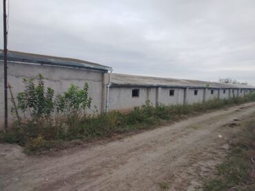 Sex, zavod və fabriklər: Ferma/təsərrüfat kompleksi - Uzunluğu boyunca tikilmiş, beton divarlı — 5