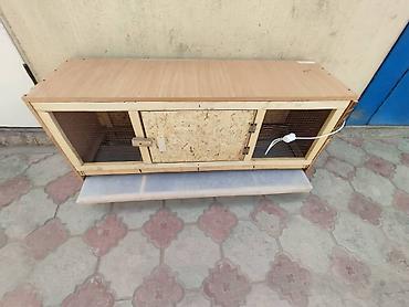 Товары и оборудование для с/х животных: Брудеры для цыплят утят гусят индюшат фазанов павлинов, домашние — 6