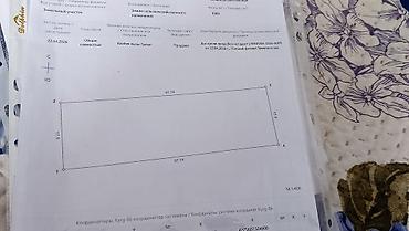Жер тилкелери: 10 соток — 3