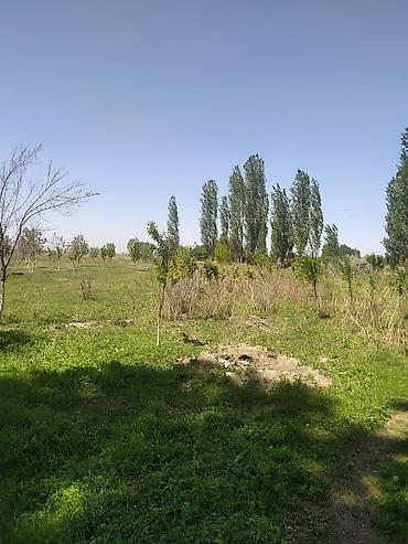 куры живые: Farm КРС, 10000 соток, Действующий, Частично с оборудованием, Электричество — 6