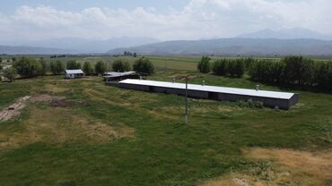 Сельхоз предприятия: 550 соток, Действующий, С оборудованием, Электричество — 6