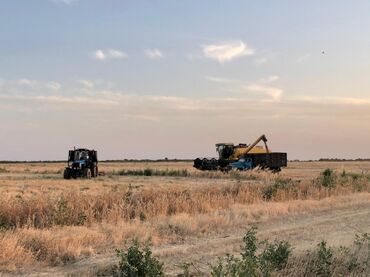 Torpaq sahələrinin satışı: 40000 sot, Kənd təsərrüfatı, Mülkiyyətçi, Müqavilə — 3