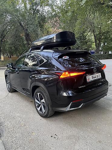 снижена: Lexus NX: 2018 г., 2.5 л, Автомат, Бензин, Кроссовер — 2