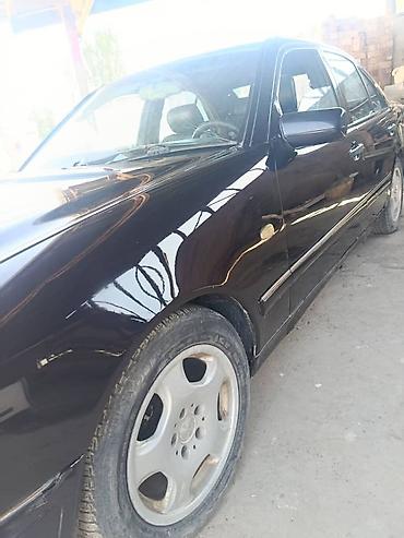 дерево на мерс: Mercedes-Benz E-Class: 1996 г., Автомат, Бензин, Седан — 3