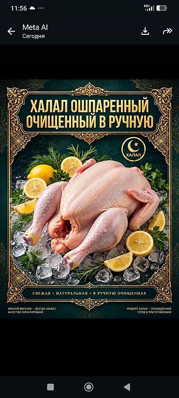 Курица: Халяльная курица – ошпаренная и вручную очищенная. - Соответствует — 1