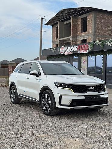 защита капота: Kia Sorento: 2022 г., 1.6 л, Автомат, Гибрид, Кроссовер — 3