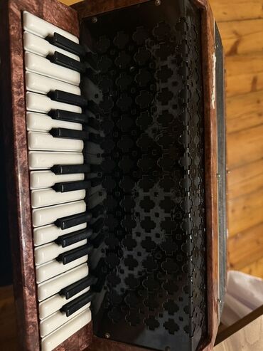 Akkordeonlar: Akustik Akkordeon, Yeni — 8