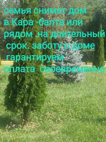 аренда мороженного аппарата: Семья снимет дом в Кара -балта или рядом. оплата своевременно, порядок