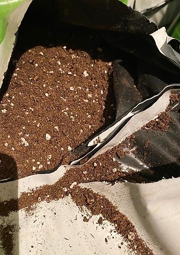 Bitki torpaqları: Bitki üçün torf qarışığı – perlitli - Tərkib: keyfiyyətli torf əsaslı — 1