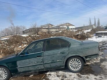 bmw emblem: BMW 5 series: 2 л, Механика, Бензин, Седан