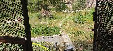 Продажа дач: Дом-дача с выходом к реке Ала-Арча — Таш-Добо (бывш. Воронцовка) 🌿 — 14