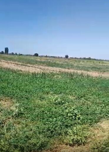 отдых на горах: 200 соток, Для сельского хозяйства, Договор купли-продажи