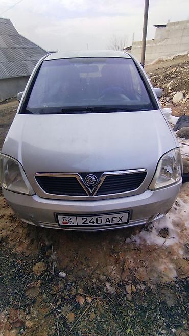 Opel: Opel Meriva: 2008 г., 1.6 л, Механика, Бензин, Минивэн — 1