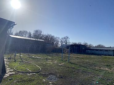 Продажа коттеджей и домов: Дом с участком 30 соток Местоположение: Чуйская область, Аламединский — 6