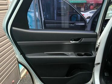 Hyundai: Hyundai Palisade: 2019 г., 2.2 л, Автомат, Дизель, Кроссовер — 12