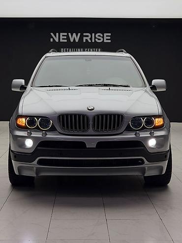 BMW: BMW X5: 2004 г., 4.8 л, Автомат, Бензин, Кроссовер — 1