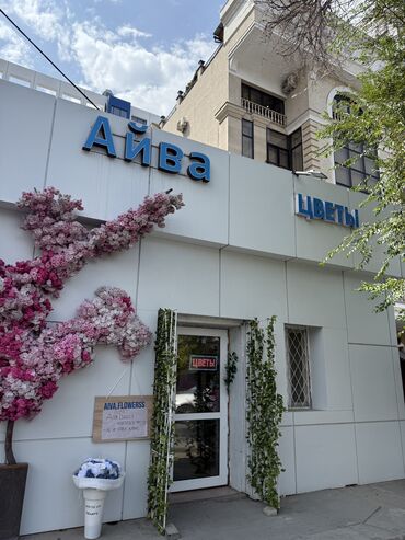 тц евразия бишкек адрес: Продаю Магазин В бизнес-центре, 37 м², Свежий ремонт, Отдельный вход, 1 этаж