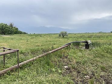 палисад 2025: Продается участок для фирменного хозяйства есть два дома для — 3