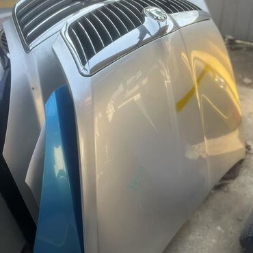 Ноускат, хафкат: Хавкат Skoda, 2012 г., Оригинал — 11