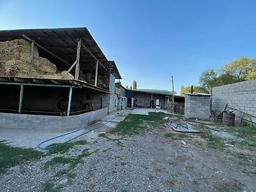 Продажа коттеджей и домов: ПРОДАЁТСЯ 2 ДОМА В ГОРОДЕ КАРА БАЛТА ПО УЛИЦЕ ЭРКИН АЛЫБАЕВА И — 15