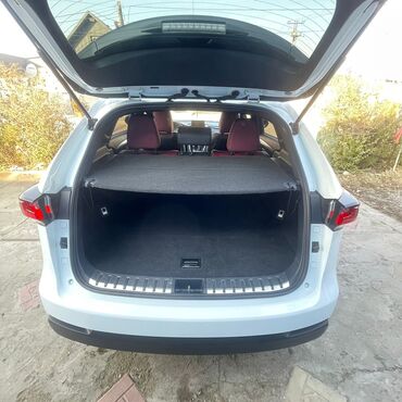 Lexus: Lexus NX: 2017 г., Кроссовер — 9