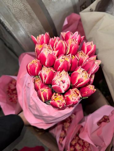 Букеты из живых цветов: Тюльпаны с луковицей Оптом | В розницу - Свежие тюльпаны с крупным — 6