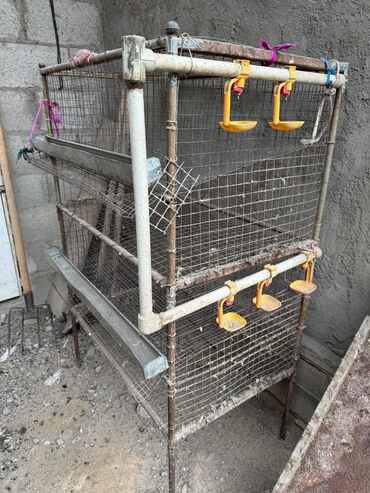 Товары и оборудование для с/х животных: Продается клетка для перепелок — 8