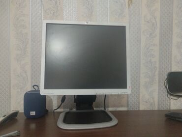 monitor tv: Мониторы