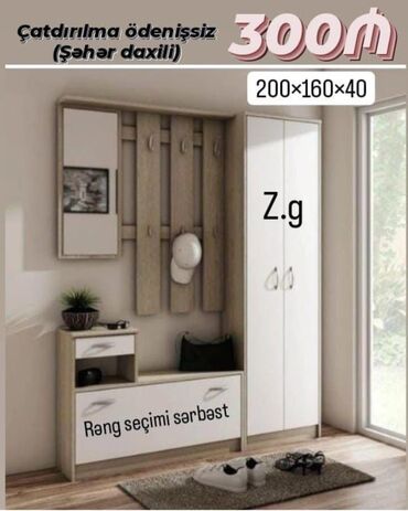 шкаф в прихожую: Yeni, Düz dolab, Dəhliz dolabı