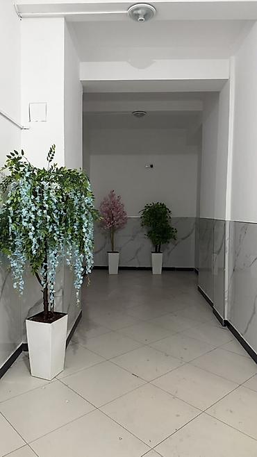 60: 2 комнаты, 60 м², Ала-Арча ТРЦ Элитка, 10 этаж — 2