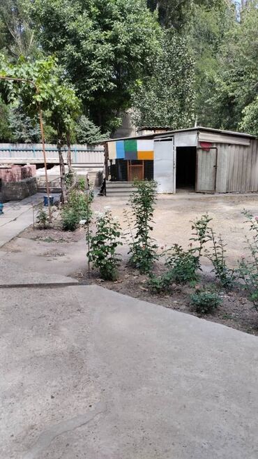 Продажа домов: Дом, 100 м², 2 комнаты, Собственник — 18