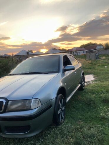 машинаны: Skoda Octavia: 2002 г., 1.6 л, Механика, Бензин, Хетчбек