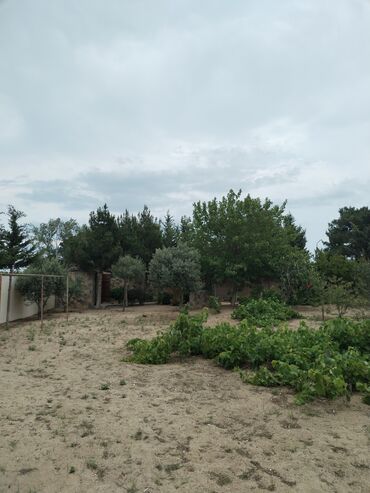 xacmaz ev: Tikinti, Makler, Kupça (Çıxarış)