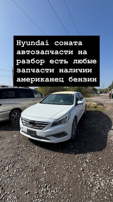 передний бампер на хонда одиссей: Авторазбор Hyundai Sonata (американская версия, бензин). Доступны